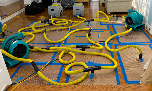 Professional Sewage Cleanup technician working in Lebanon, OR